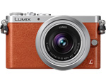 Panasonic DMC-GM1KD Compact Camera System