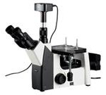 50X-1000X Inverted Metallurgical Microscope + 10MP Camera Windows & Mac SO X
